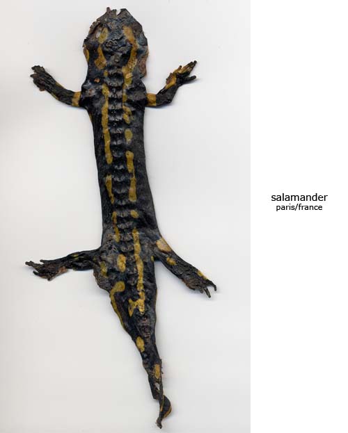 Salamander